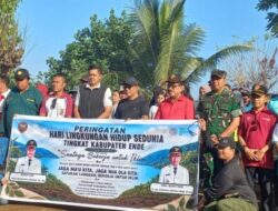 Peringati Hari Lingkungan Hidup, Pemkab Ende Tanam Pohon di Sempadan Pantai Ndao
