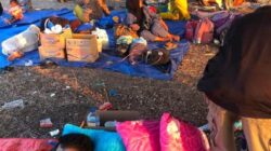 Orangtua Minta Pemda Nagekeo Hentikan Sementara Sekolah, Keselamatan Anak Jadi Prioritas di Tengah Gempa Susulan